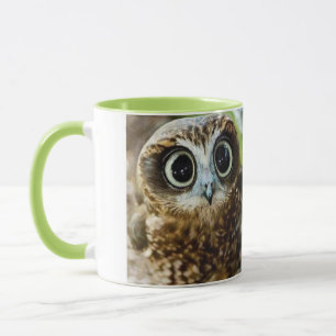 Niedliche Eule mit bubelbesen Augen Tasse