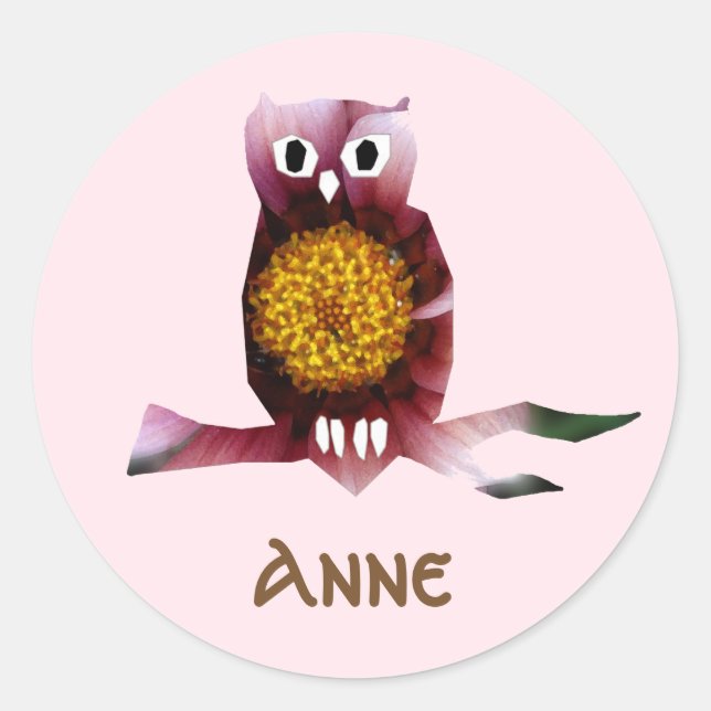 Niedliche Eule, Vogel, Party für Mädchen, Aufklebe Runder Aufkleber (Vorderseite)