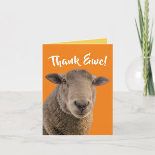 Niedliche "Ewe"-Karte mit einer Ewe Karte
