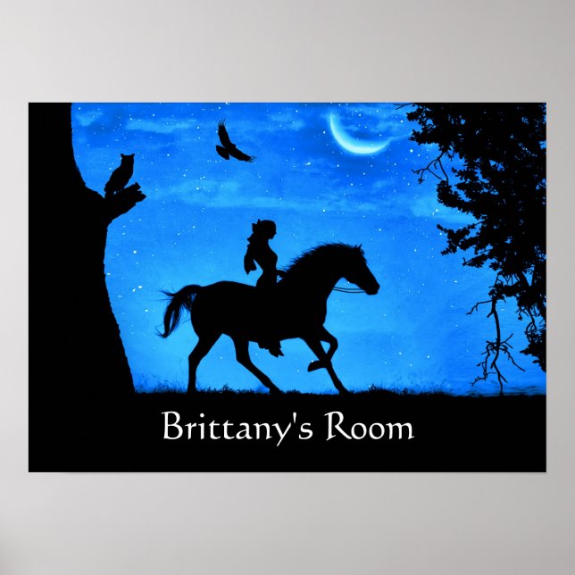 Niedliche Fantasy Horse Owl and Rider Poster (Vorne)