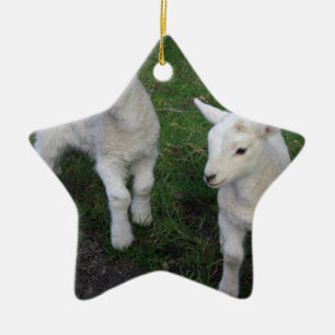 Niedliche Farm Ranch Baby Twins Schafsleder Keramik Ornament