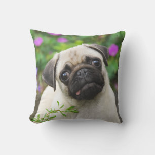 Niedliche Fawn farbige Mops Puppy Dog Face Pet Fot Kissen