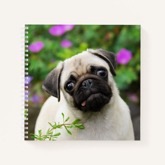 Niedliche Fawn farbige Mops Puppy Dog Face Pet Fot Notizbuch (Vorderseite)