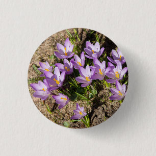 Niedliche Federhäkchen Button