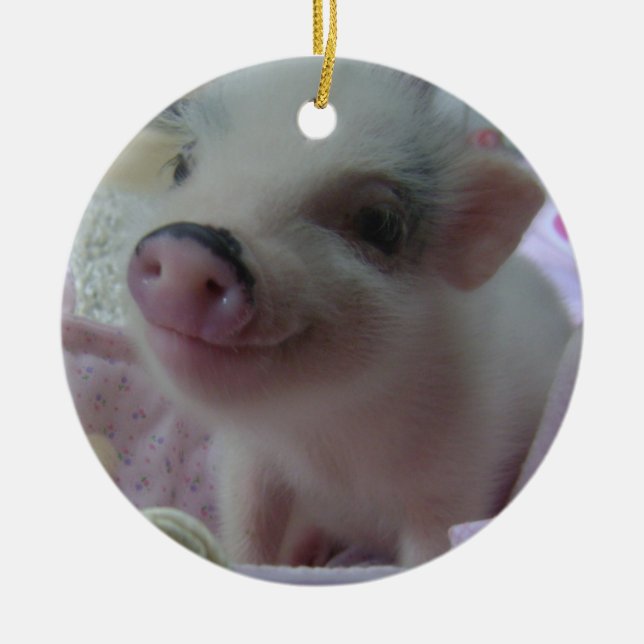 Niedliche Ferkel-Verzierung Keramikornament (Vorne)