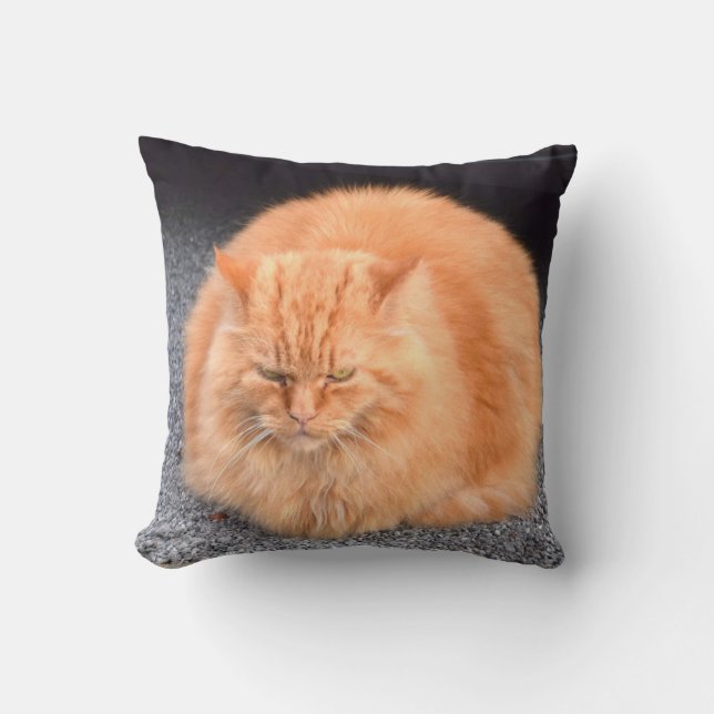 Niedliche fette Katzen-Gelb-Farbe Kissen (Vorderseite)