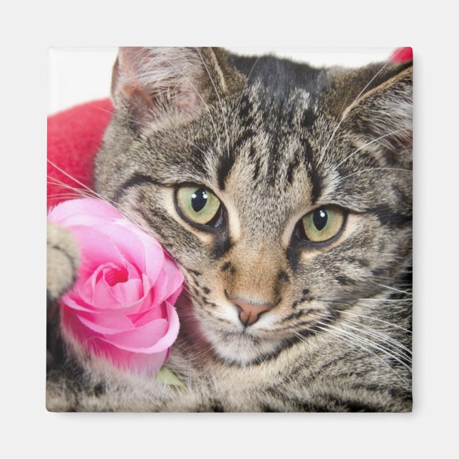 Niedliche Filmtablette Mit Rose Magnet (Vorne)