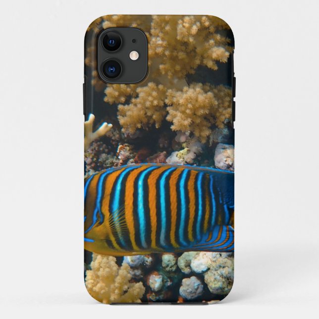 Niedliche Fische Case-Mate iPhone Hülle (Rückseite)