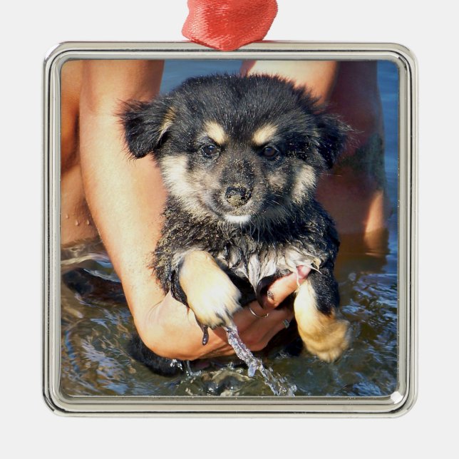 Niedliche flaumige Welpen-Hundephotographie Silbernes Ornament (Vorne)