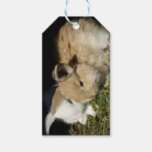 Niedliche, flauschige Bundsen Geschenkanhänger