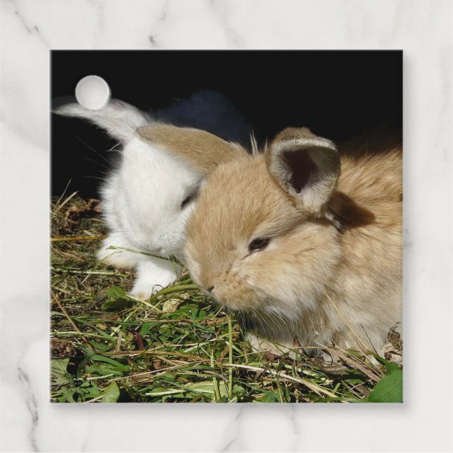 Niedliche, flauschige Bundsen Geschenkanhänger (Vorderseite)
