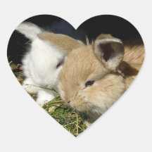 Niedliche, flauschige Bundsen