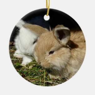 Niedliche, flauschige Bundsen Keramik Ornament