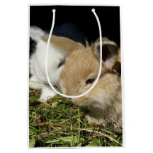 Niedliche, flauschige Bundsen