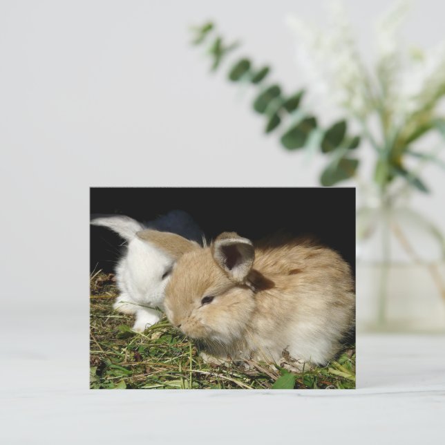 Niedliche, flauschige Bundsen Postkarte (Stehend Vorderseite)