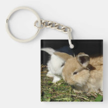 Niedliche, flauschige Bundsen