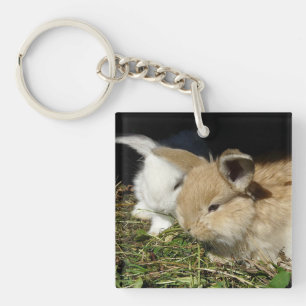 Niedliche, flauschige Bundsen Schlüsselanhänger