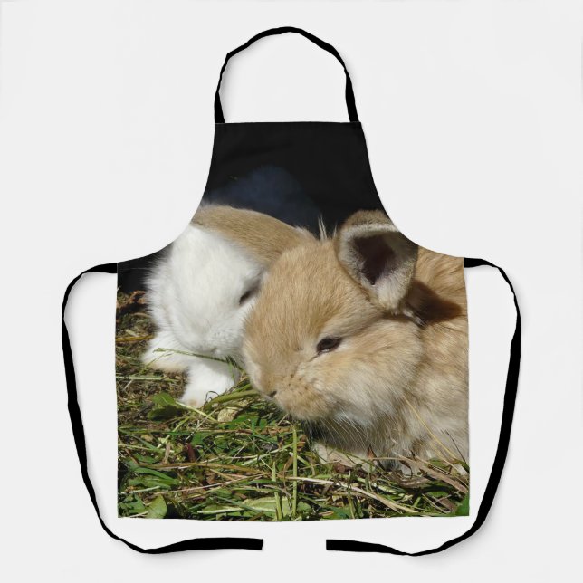 Niedliche, flauschige Bundsen Schürze (Vorderseite)