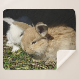 Niedliche, flauschige Bundsen Sherpadecke