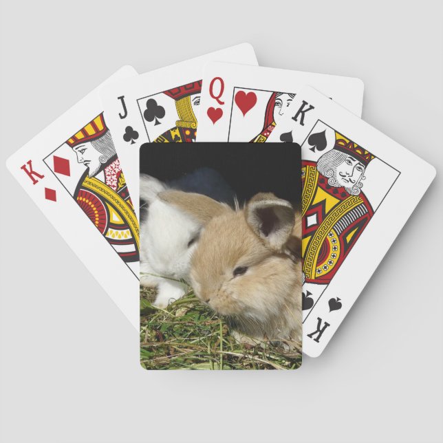 Niedliche, flauschige Bundsen Spielkarten (Rückseite)