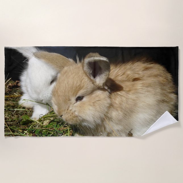 Niedliche, flauschige Bundsen Strandtuch (Vorderseite)