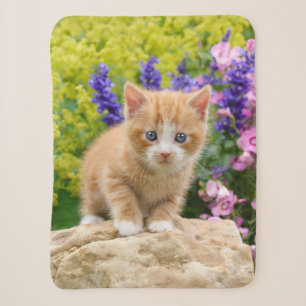 Niedliche Fluffy Ginger Baby Cat Kitten in Blume H Sherpadecke