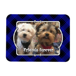 Niedliche Foto Frame Pets Blau und Schwarz Kariert Magnet
