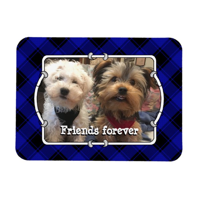 Niedliche Foto Frame Pets Blau und Schwarz Kariert Magnet (Horizontal)