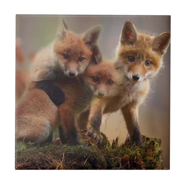 Niedliche Fox-Familie Fliese (Vorderseite)