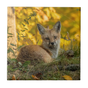 Niedliche Fox-Keramik Fliese