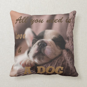 Niedliche Franzosen bulldog   alle, die Sie Kissen