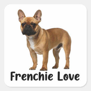 Niedliche Französisch Bulldog Welpe Dog Frenchie L Quadratischer Aufkleber