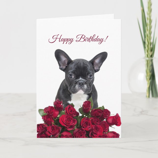 Niedliche französische Bulldog Happy Birthday Rote Karte (Vorderseite)
