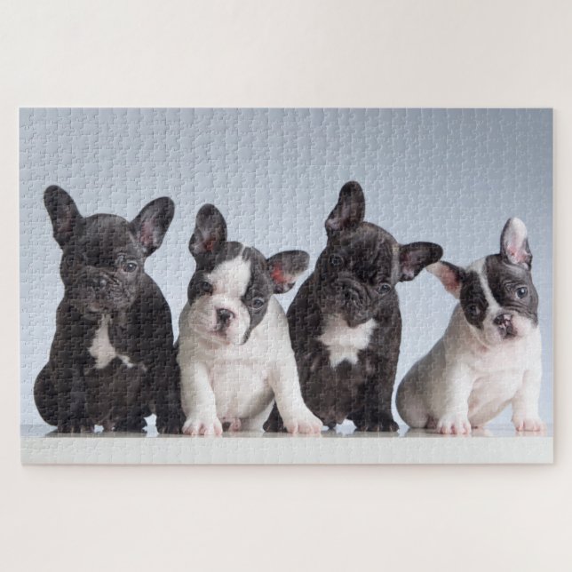 Niedliche französische Bulldog-Welpen (Horizontal)