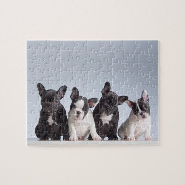 Niedliche französische Bulldog-Welpen (Horizontal)