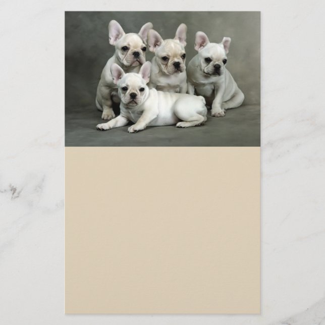Niedliche französische Bulldog-Welpen Flyer (Vorne)