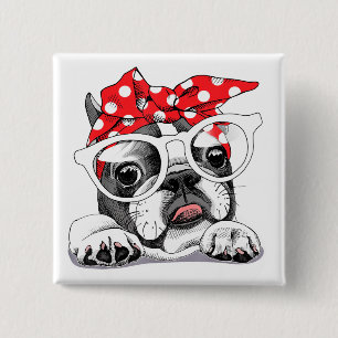 Niedliche französische Bulldogge, farbenfrohe Head Button