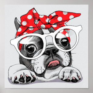 Niedliche französische Bulldogge, farbenfrohe Head Poster