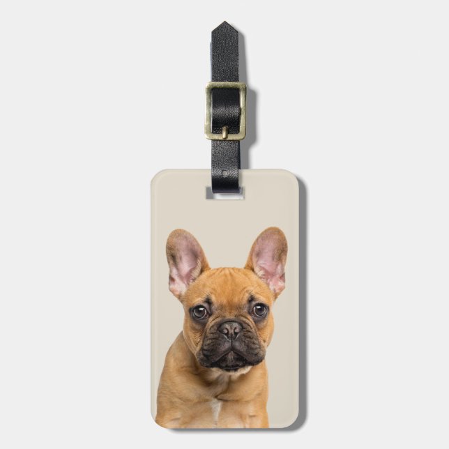 Niedliche französische Bulldogge Gepäckanhänger (Vorderseite vertikal)