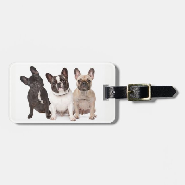 Niedliche französische Bulldoggen-Welpen Gepäckanhänger (Vorderseite horizontal)
