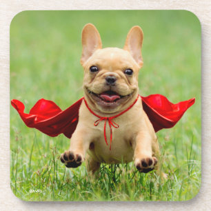 Niedliche französische Bulldoggesuperhero-Läufe  Untersetzer