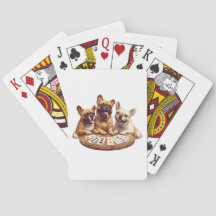 Niedliche französische Bullhunde, die Karten spiel