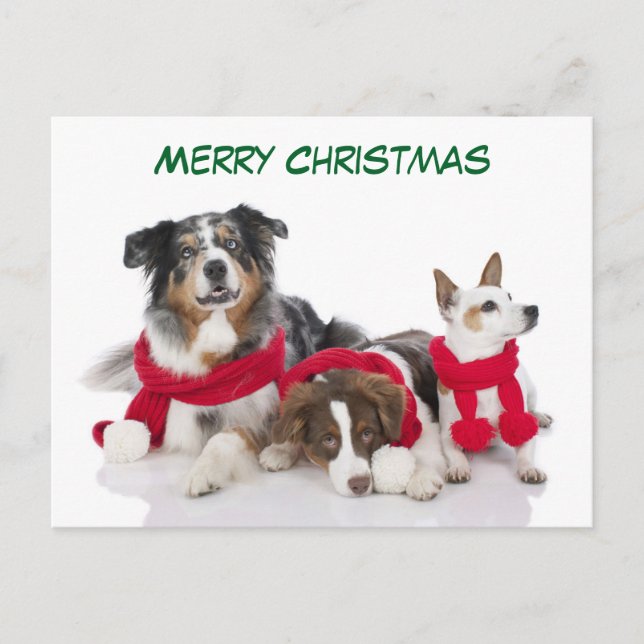 Niedliche frohe Weihnachtshunde Feiertagspostkarte (Vorderseite)