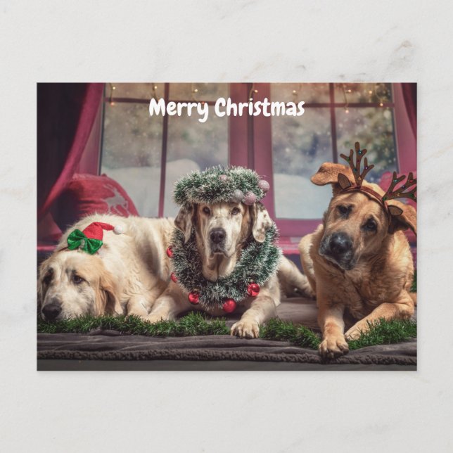Niedliche frohe Weihnachtshunde Feiertagspostkarte (Vorderseite)