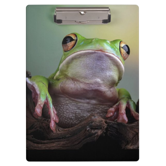 Niedliche Froschklammer Klemmbrett (Vorderseite)