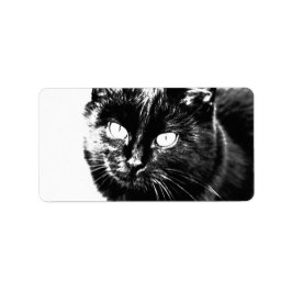 Niedliche Funky Black Cat Kitten Eyes Sketch Adressaufkleber