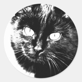 Niedliche Funky Black Cat Kitten Eyes Sketch Runder Aufkleber