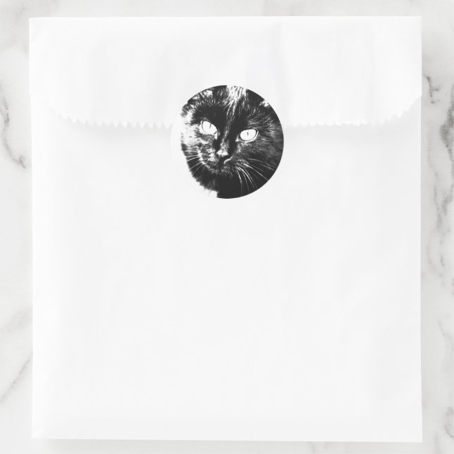 Niedliche Funky Black Cat Kitten Eyes Sketch Runder Aufkleber (Tasche)