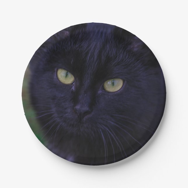 Niedliche Funky Black Cat Kitten Yellow Eyes Pappteller (Vorderseite)