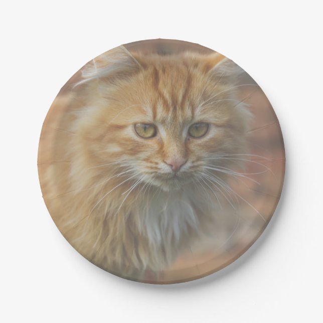 Niedliche Funky Ginger Cat Kitten Face Pappteller (Vorderseite)